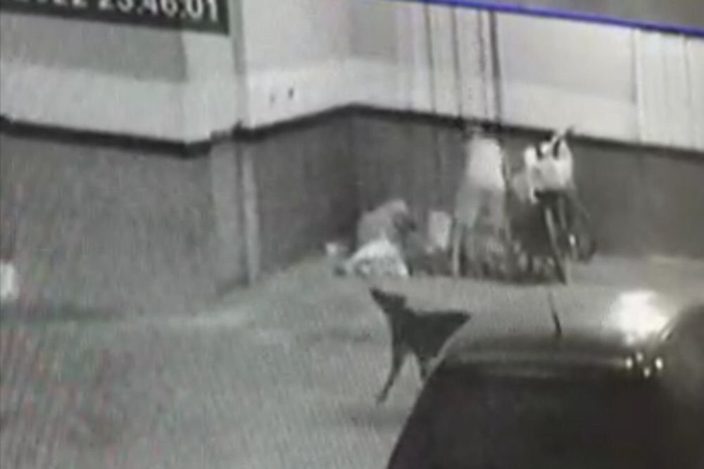 Homem ataca e mata morador de rua pauladas goiás (3)