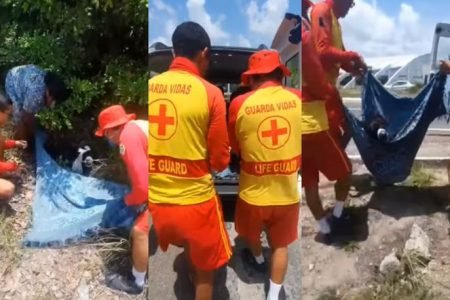 Bombeiros de João Pessoas resgatam cachorro atropolado