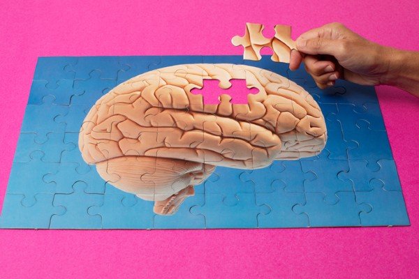 The puzzle pieces collect a drawing of a brain city