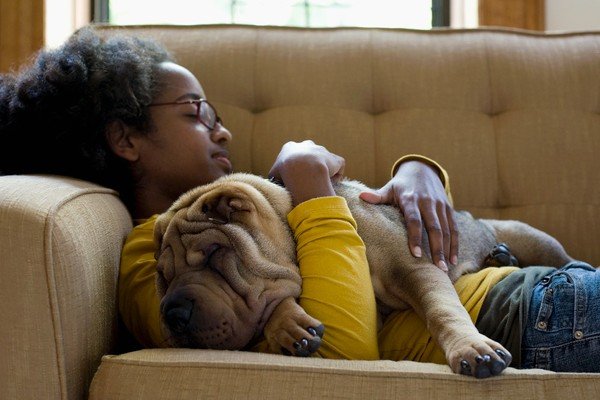 Woman naps on sofa with dog hugging - Metropolis