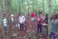 foto de homens reunidos em uma floresta