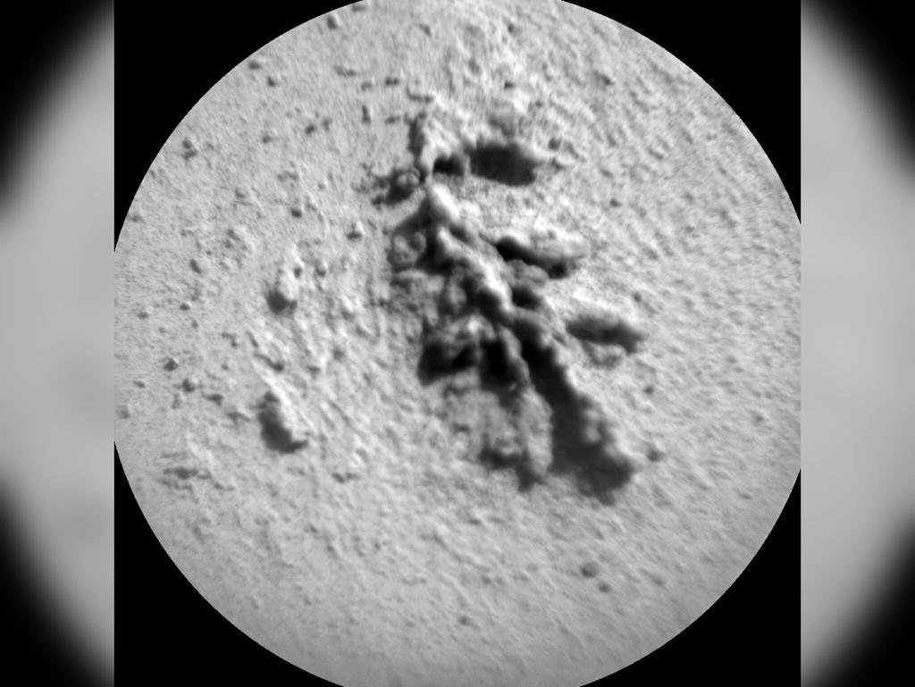 Flor na superfície de Marte