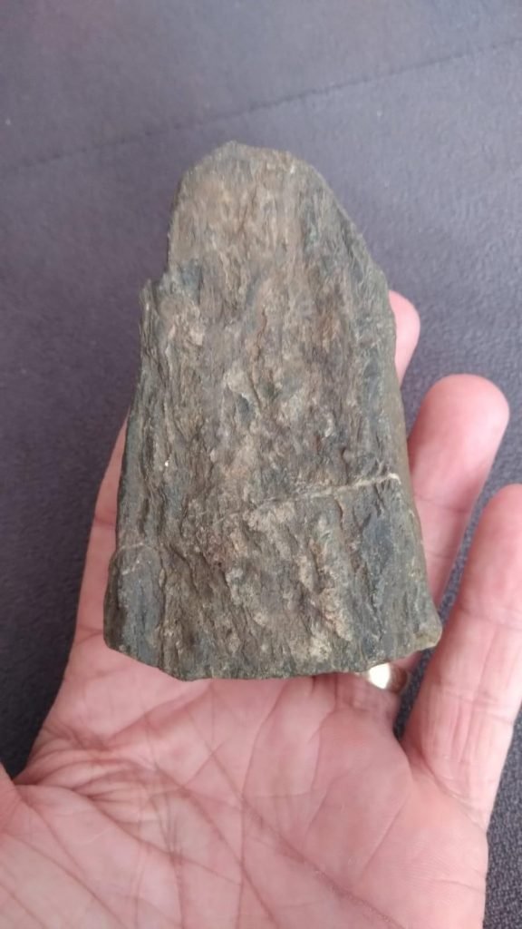 Pedra - fóssel - objeto indígena