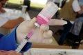 Saúde divulga locais para vacinação de pets contra a raiva. Veja lista