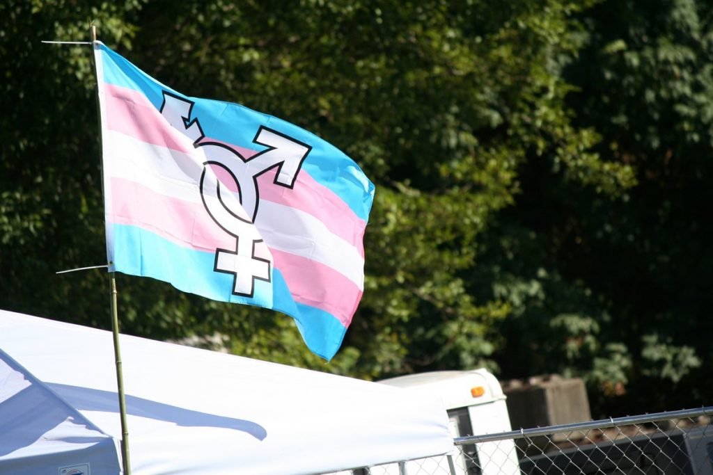 bandeira trans