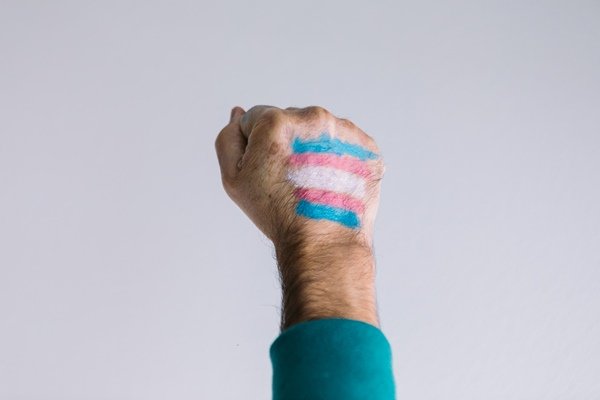 mão com punho estendido e bandeira trans pintada