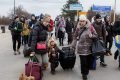 refugiados de guerra