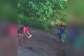 mulher mata gato pedrada trindade goias (1)