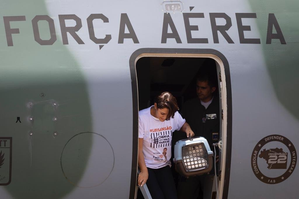 Michelle Bolsonaro, primeira-dama, ajuda a descer animais de resgatados da guerra da Ucrânia, vindos da Polônia, e que desembarcaram em base aérea em Brasília - Metrópoles