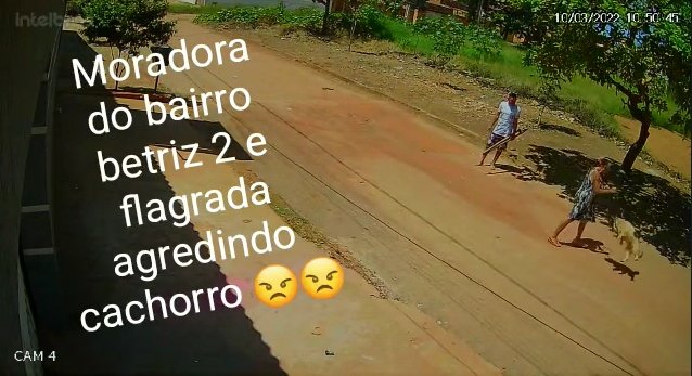 Idosa de vestido preto agride cachorro