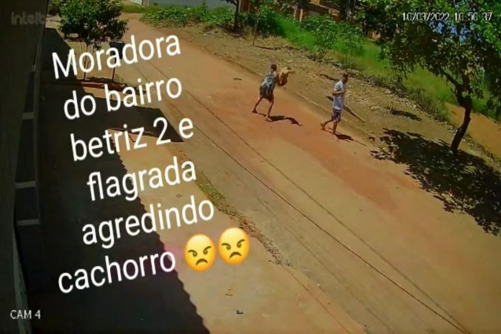 Idosa de vestido preto agride cachorro