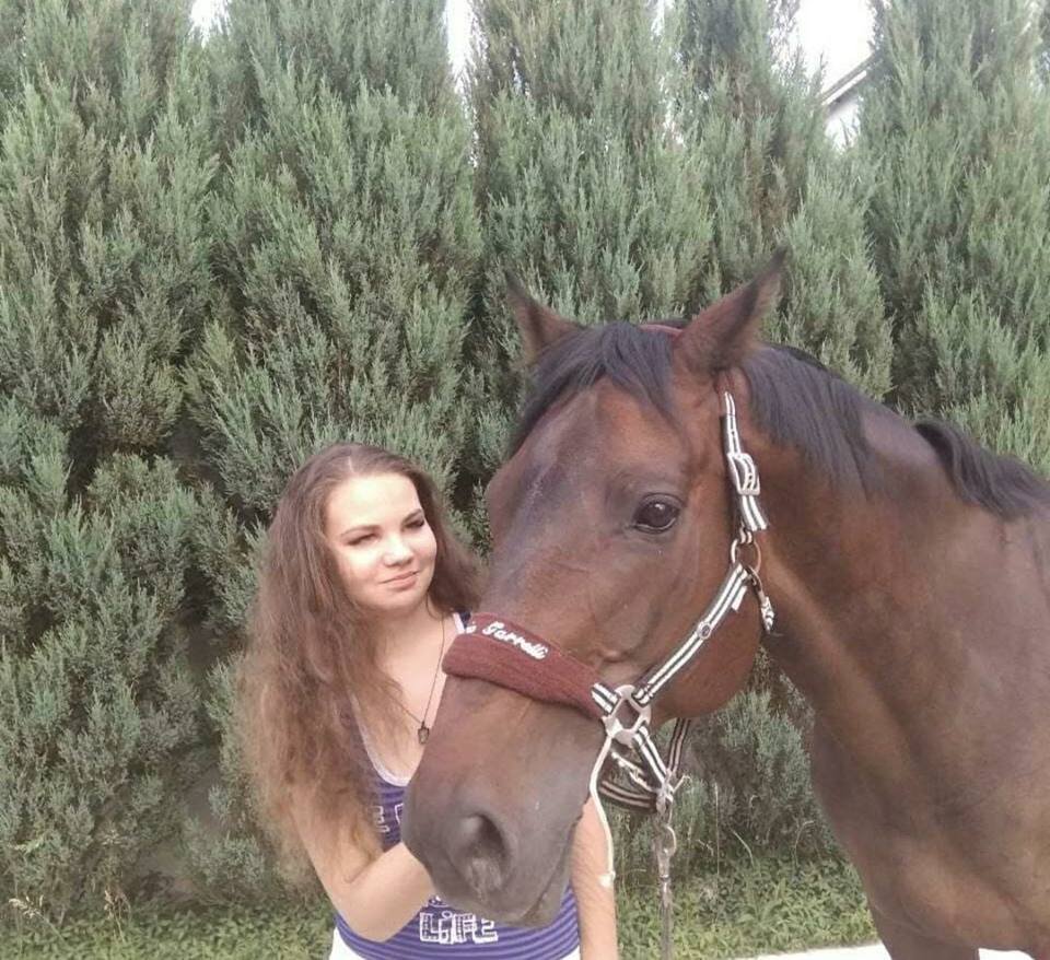 Menina passando a mão em cavalo em frente a arbustos
