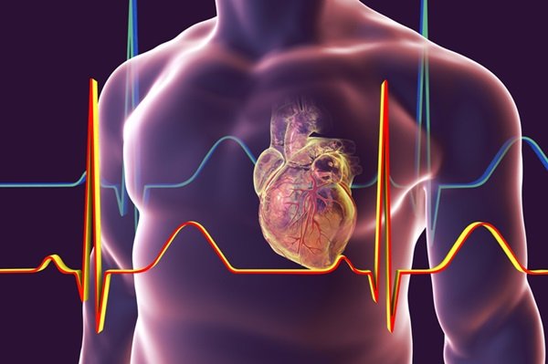 Ilustração de um coração dentro do corpo de um homem - Metrópoles