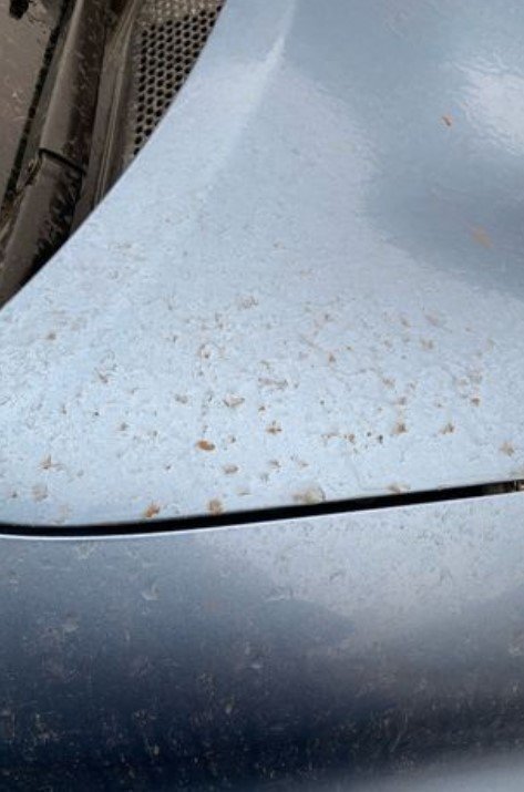 Chuva de sangue no Reino Unido