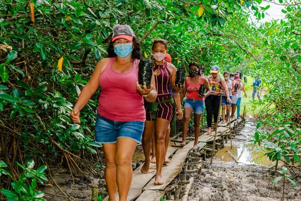mulheres fazem fila indiana e carregam mudas de plantas