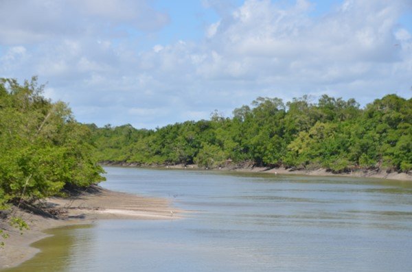 foto mostra grande área inundada e plantas ao redor