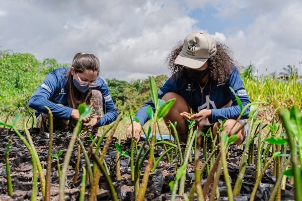 foto mostra duas mulheres com camisa azul manuseando mudas de plantas