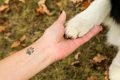 Mão com tatuagem de pata de cachorro segurando uma pata de um cachorro