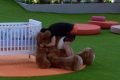 Lucas do BBB abraçando urso gigante