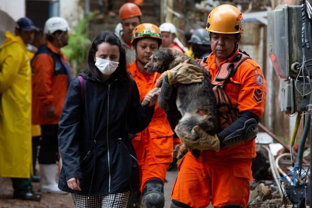 Cachorro é resgatado por bombeiro em meio à escombros causados pela chuva em Petrópolis, Rio de Janeiro - Metrópoles