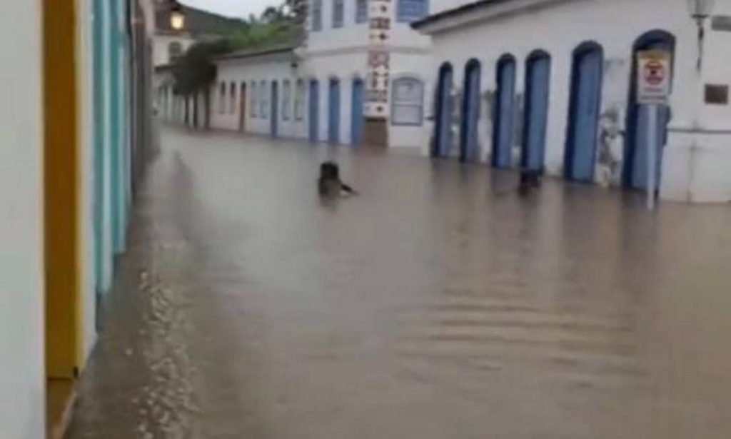 paraty alagada