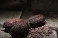 Cidade distribui barra de chocolate de mais de 200 metros de graça
