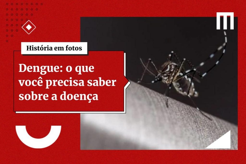 Aedes aegypti, tambm conhecido como mosquito da dengue - Metrpoles