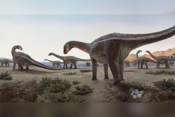 Quatro razões pelas quais os dinossauros nunca governaram a Terra