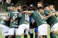 Saiba os motivos que levaram Abel Ferreira a renovar com o Palmeiras