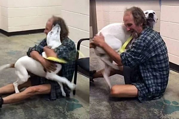 montagem com duas fotos de homem abraçado em cachorro branco