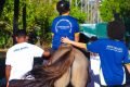 equoterapia