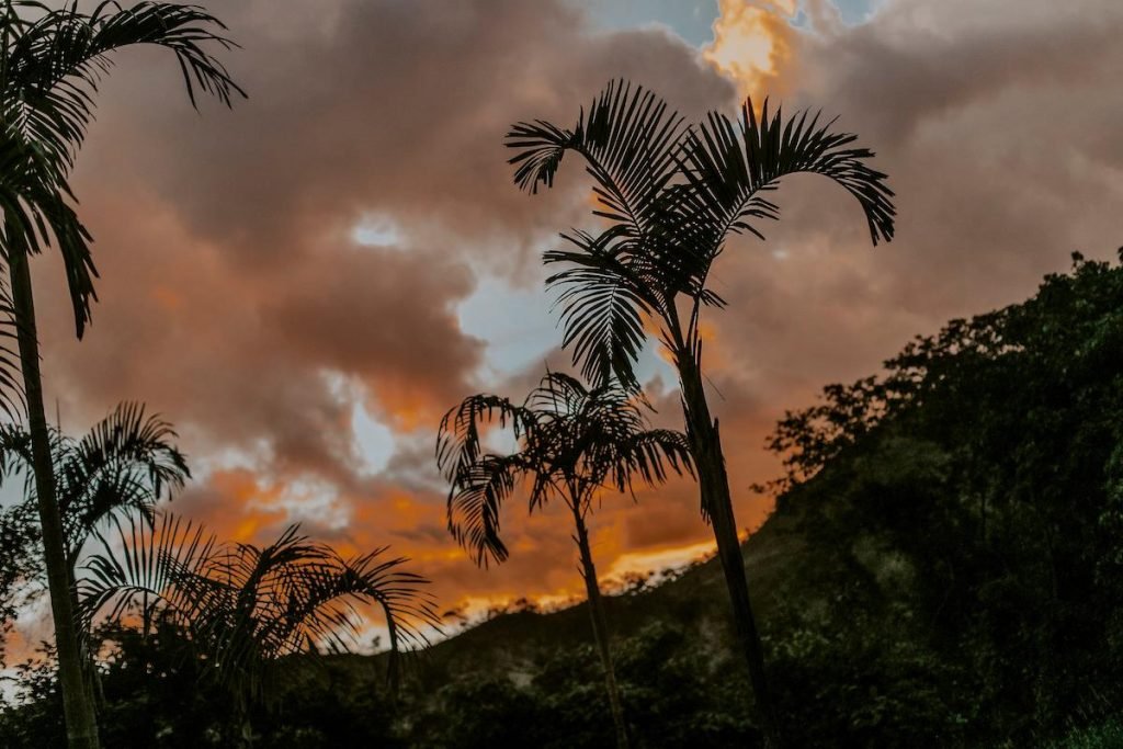 Céu da Chapada dos Veadeiros (GO)