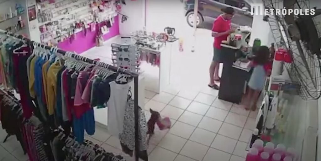 Câmeras de segurança flagraram as ações do cãozinho Thor em Coroados, no interior de São Paulo