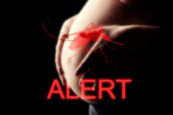 Foto de uma mulher com a mão na barriga e um sinal de alerta para o Aedes aegypti em cima- Metrópoles