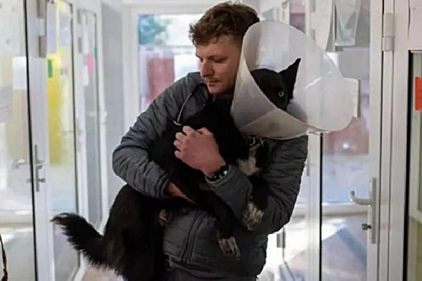 na foto vemos um homem abraço em um cachorro com colar elizabetano