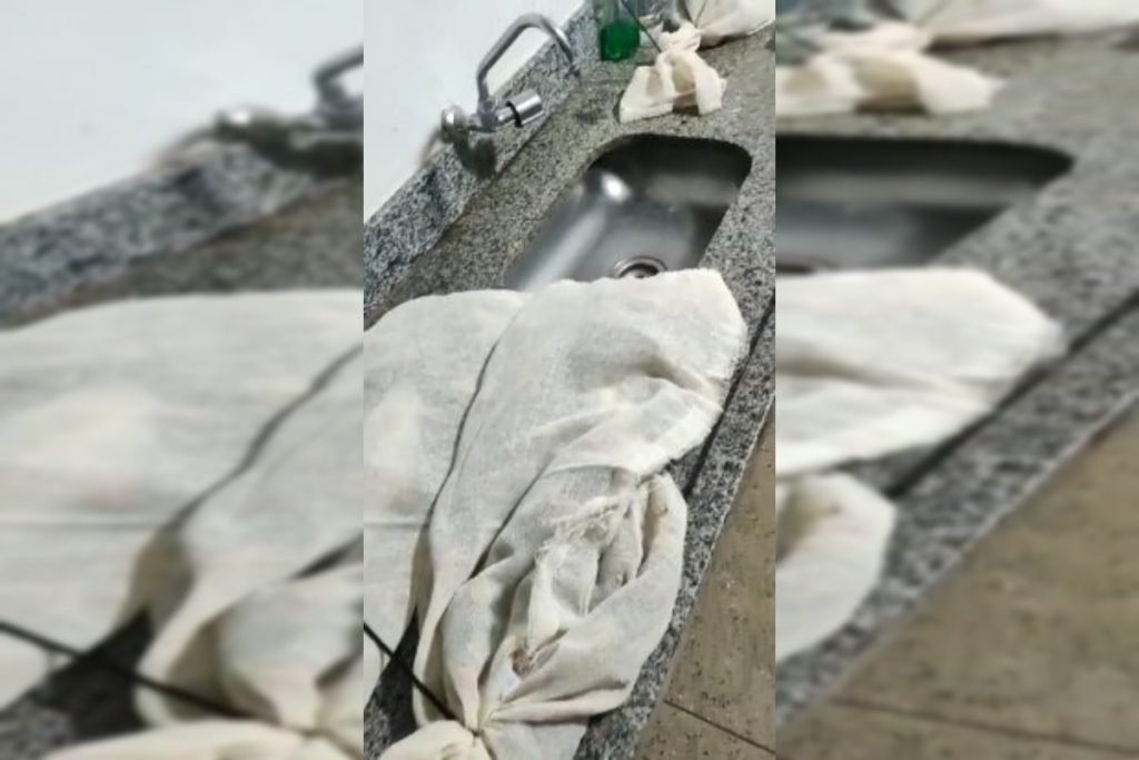 Aves embaladas dentro de sacos