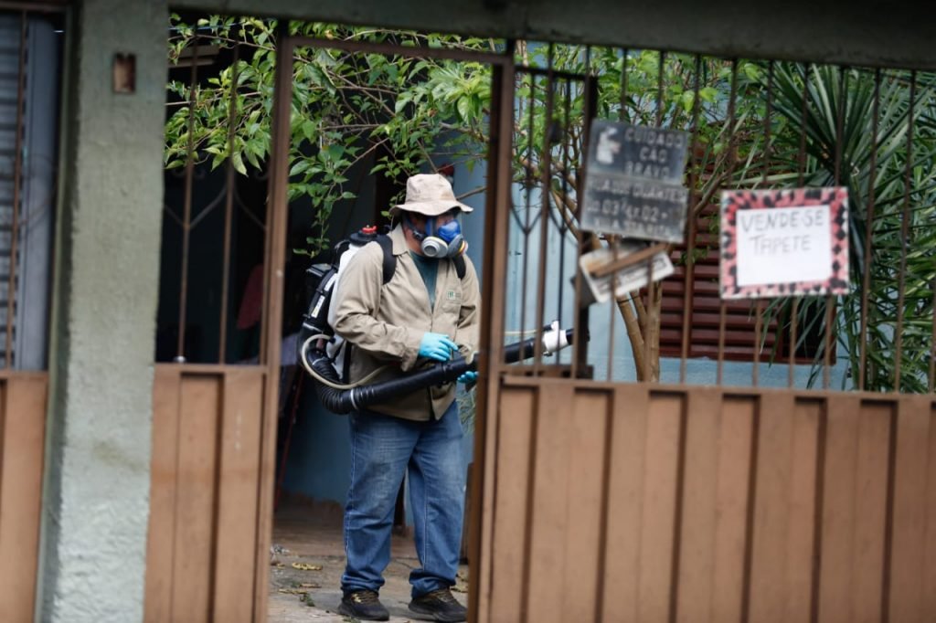mosquito dengue foco goiania goias (4)