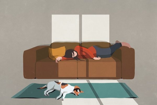 Ilustração de mulher deitada no sofá e cachorro dormindo em tapete em frente. Refletindo nos dois, a luz que passa da janela - Metrópoles