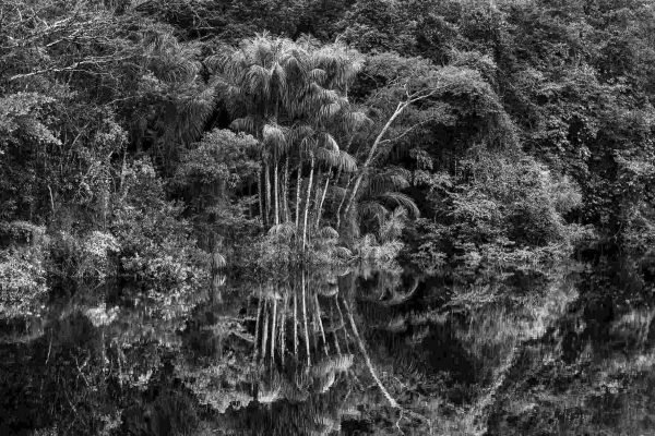 Exposição no Sesc Pompeia traz fotos que Sebastião Salgado fez na Amazônia