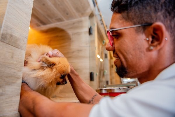 foto colorida homem com a mão na cabeça do cachorro