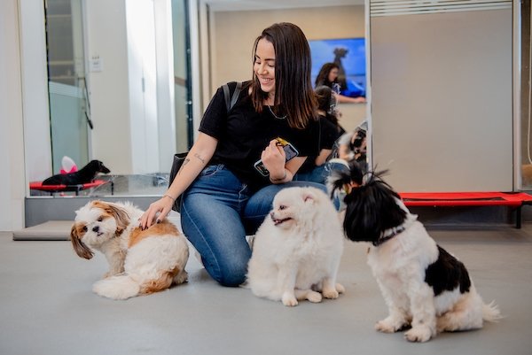 foto colorida- mulher com três cachorros