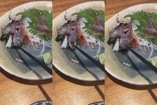 Peixe vivo "ataca" palito de madeira em restaurante japonês