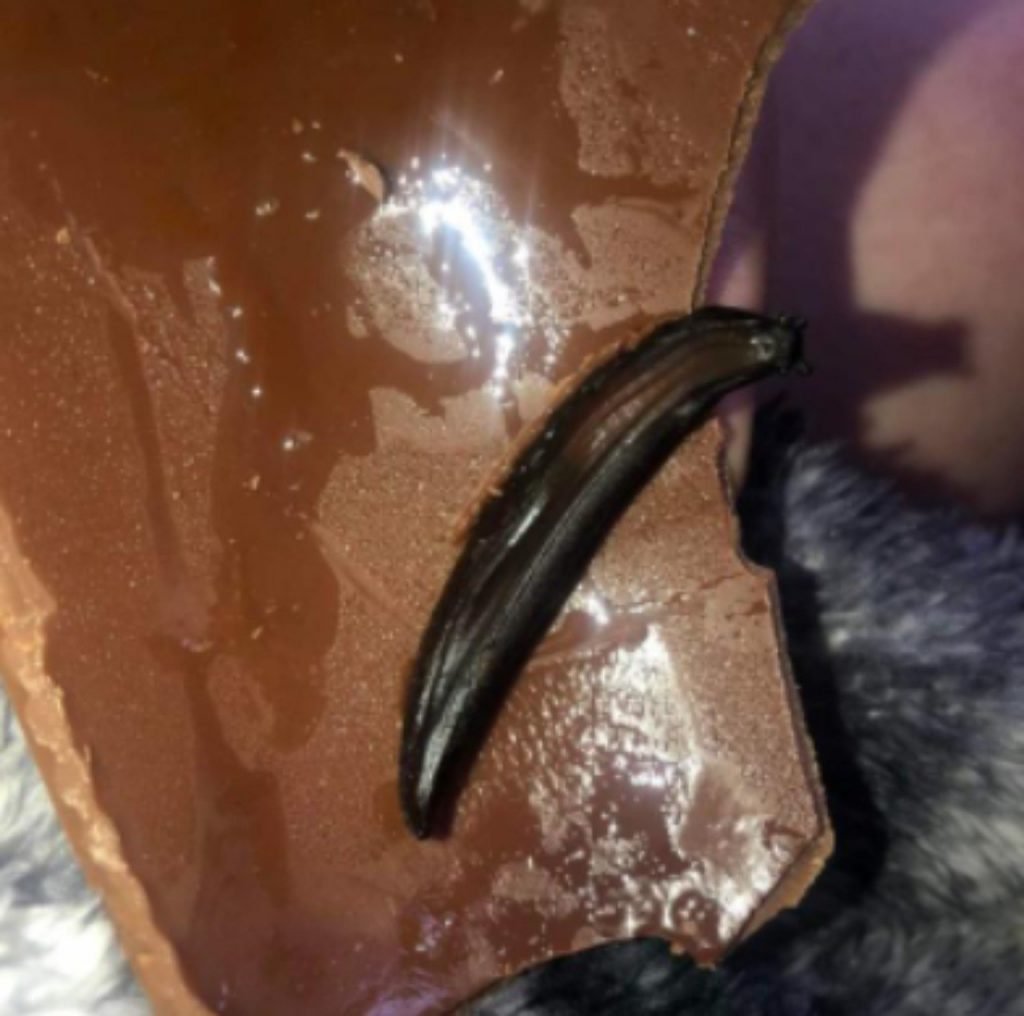 Lesma escura dentro de ovo de páscoa de chocolate preto que menino encontrado na Inglaterra - Metrópoles