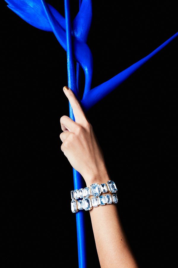 Mão branca segurando uma planta tingida de azul. Ela usa dois braceletes com pedras azuladas. O fundo da foto é preto.