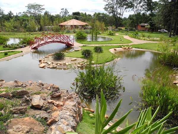 Jardim Botânico de Brasilia- Metrópoles