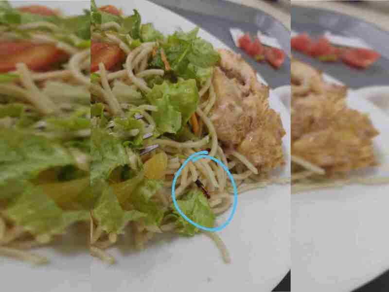 Inseto é encontrado em salada oferecida pelo Hospital de Base. Imagem destaca o animal - Metrópoles