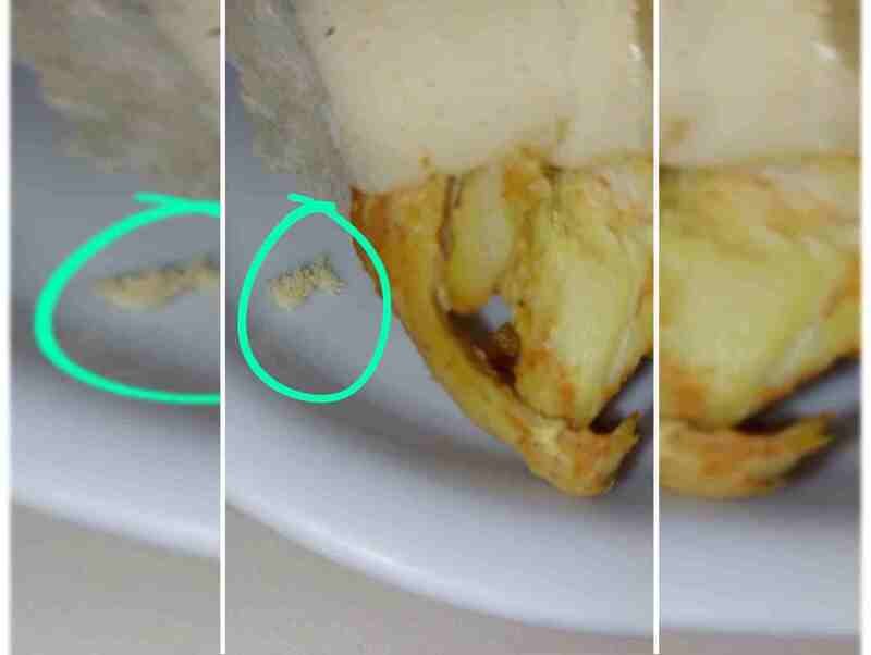 Larvas são flagradas em prato de comida servido no Hospital de Base - Metrópoles