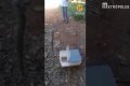 Cobra sendo resgatada por policiais ambientais - Metrópoles