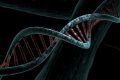 Imagem de um DNA