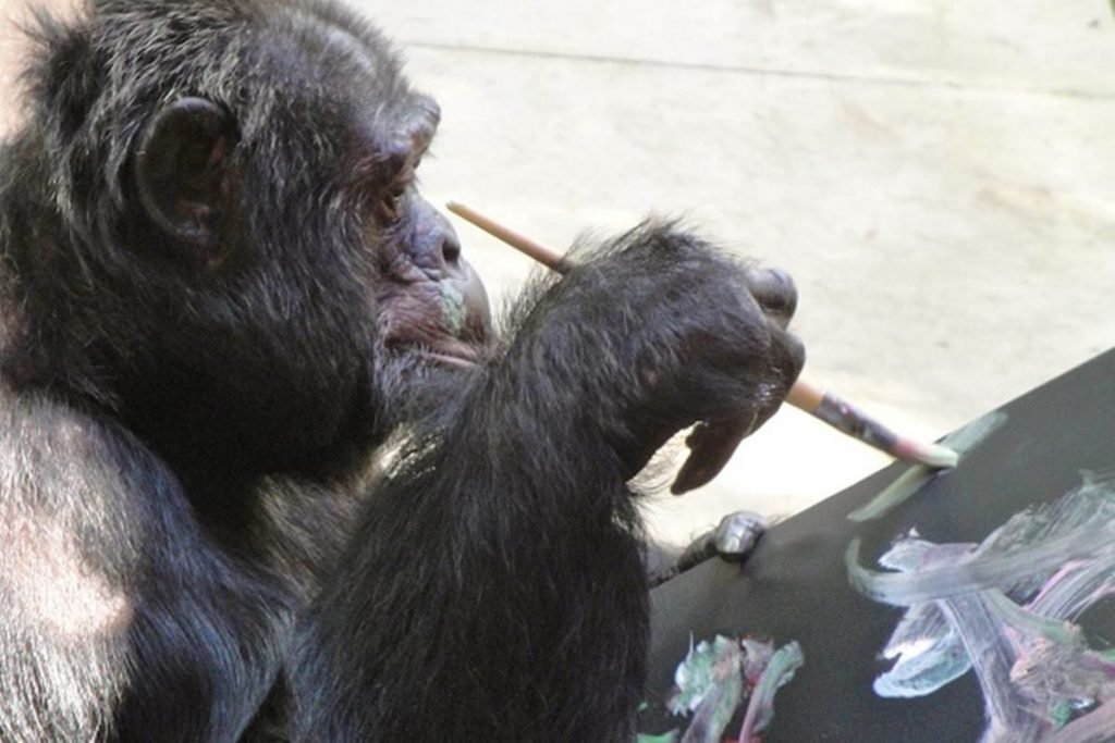 Bubbles, o macaco amigo de Michael Jackson